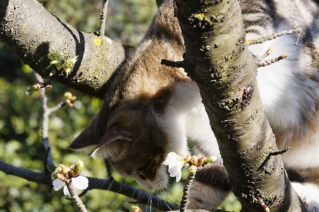 Famille et amis-MAR16-069
